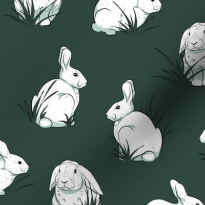 Rabbits in the grass