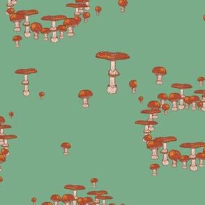 Mushroom Amanita Circle - Fairy Circle - Green, Red - Jumbo Scale