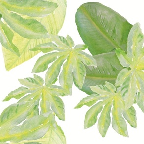 Tropical Leaves 3