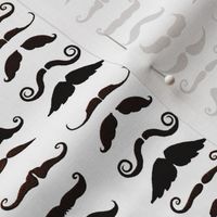 Staches