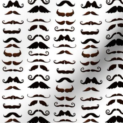 Staches