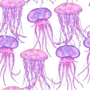 Jellyfish in Pink Purple Watercolor on White Background