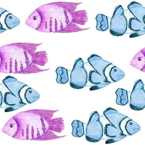Blue & Purple Tropical Fish on White Background