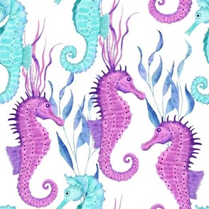 Seahorses in Blue & Purple on White Background
