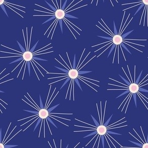 Star Burst Navy