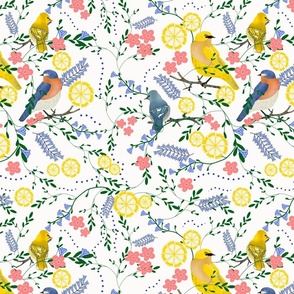 Birds and Flowers on a white background