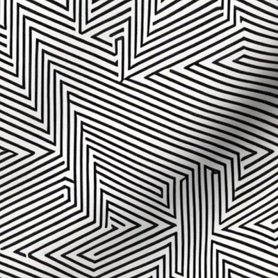 monochrome psychedelic geometric optical illusion