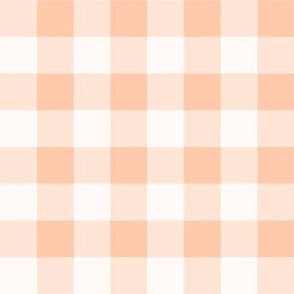 Gingham- Buffalo Plaid- 1 Inch- Vichy Check- Checked- Blush- Salmon- Pastel Orange- Soft Orange- Wallpaper- Spring- Medium