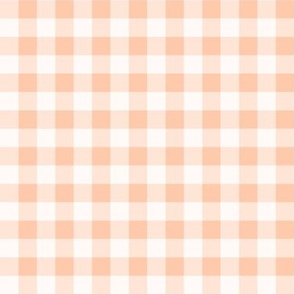 Gingham- Buffalo Plaid- 12 Inch- Vichy Check- Checked- Blush- Salmon- Pastel Orange- Soft Orange- Wallpaper- Spring- Small