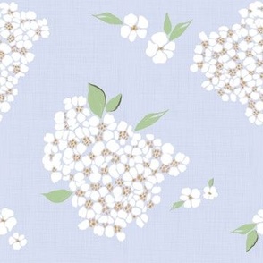 White Hydrangeas Azureish White