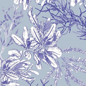 Undersea Toile Navy on Gray 150