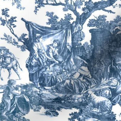 Rustic French Toile-Blue & White