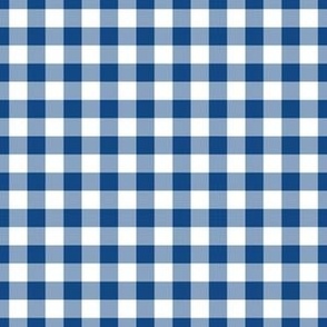 Dark Cerulean Blue Gingham Plaid Small