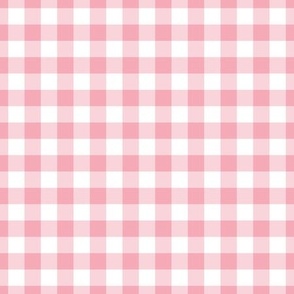 Sweet Pink Gingham Plaid / Medium