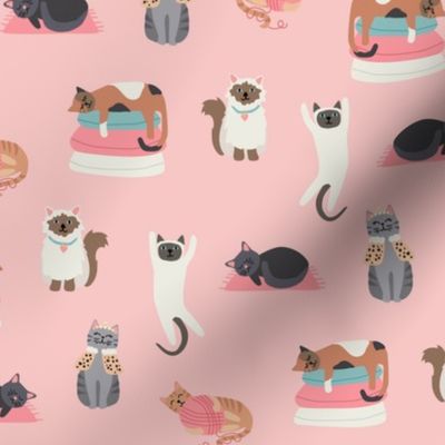 Silly Cats on Pink - 1 1/2 inch