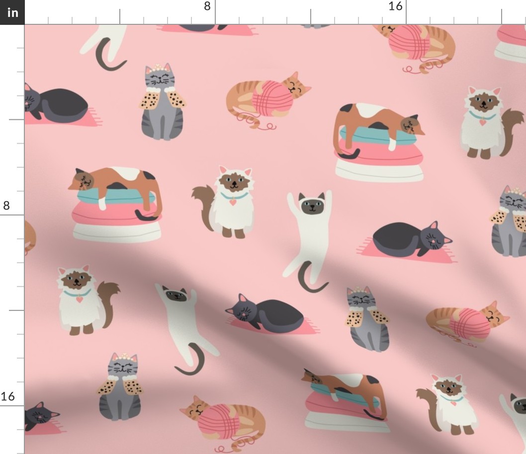 Silly Cats on Pink - 3  inch