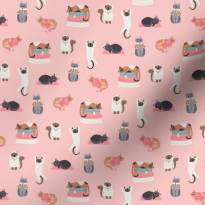 Silly Cats on Pink - 3/4 inch