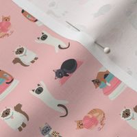 Silly Cats on Pink - 3/4 inch