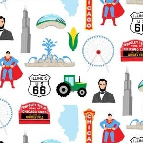 Illinois Icons SMALL