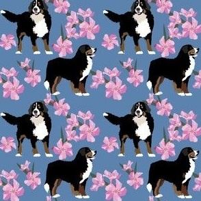 Bernese Mountain Dog Pink Flowers  blue denim dog floral fabric