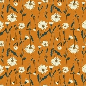 Desert daisy floral in cream on orange background