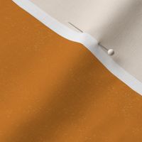 Desert Sand Texture in Orange