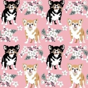 small print // Chihauhau Dog Puppy Floral white flowers  Pink  flower dog fabric