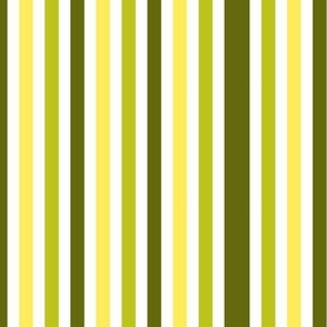 Uneven stripes in Citrus Colors/ Citrus Roman Stripes