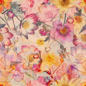 Large scale watercolor dahlia in pink, peach and yellow with a linen texture.