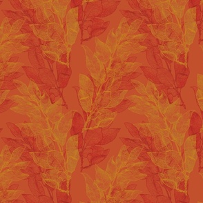 forsythia_leaves_orange_gold_red