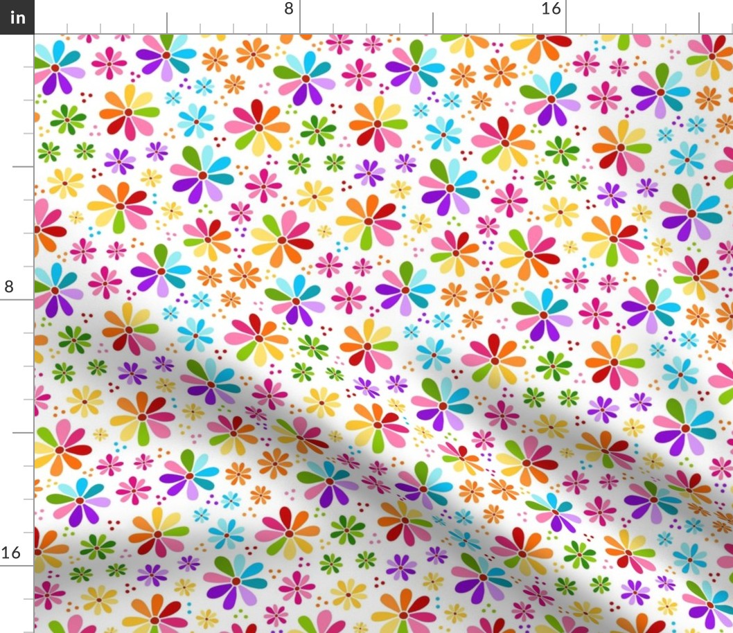 Medium Scale Rainbow Daisy Flowers on White