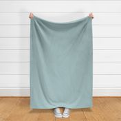 Light Teal- Solid Color- Pastel Turquoise Blue- Robin Egg Blue- HEX ABC5C7