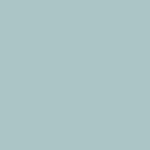 Light Teal- Solid Color- Pastel Turquoise Blue- Robin Egg Blue- HEX ABC5C7