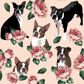 small print // Boston Terrier Dog Family Pink Rose Chic floral peach background