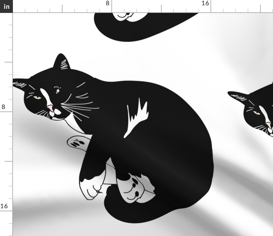 Cat Mr Mustachio black and white