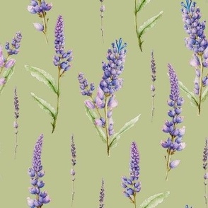 Lavender flower watercolor