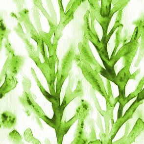 1554 jumbo - ocean dream green watercolor