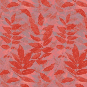 leaves_red-gray