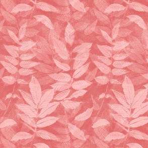 leaves_sketch_pink_red