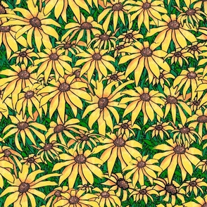 Blackeyed Susan Flower Patch Grass (large)