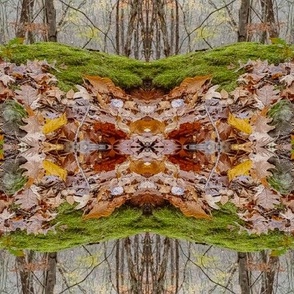 Forest Floor Symmetry
