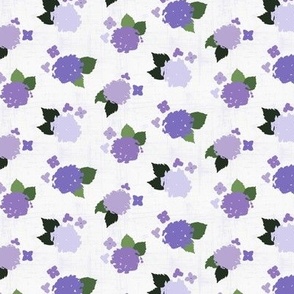 Hydrangea Spring Garden, Lilac Purple, 6in