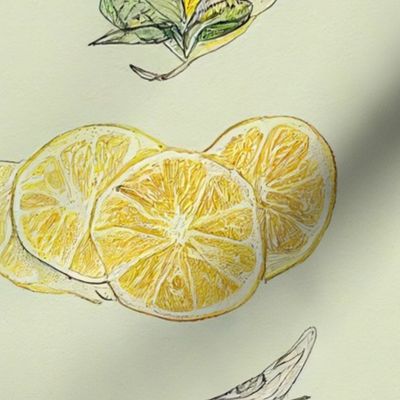 Lemon and Bird Tree Sketch Collage 07