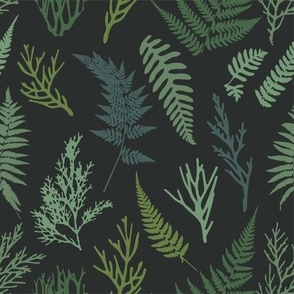 Dark forest fern. Woodland green ferns. Boho floral.