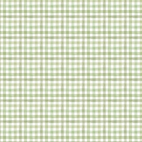 Watercolor gingham sage green Micro