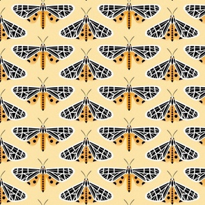 tiger moths on yellow