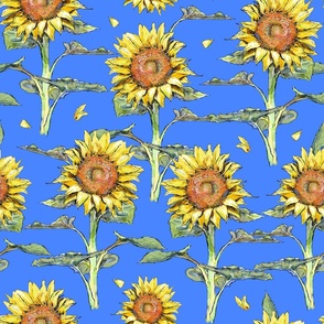 Sunflower - ukrainian national flower