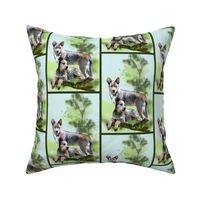 Cattle dog fabric