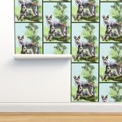 Cattle dog fabric