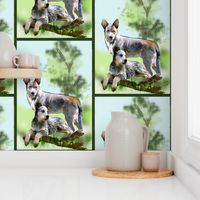 Cattle dog fabric